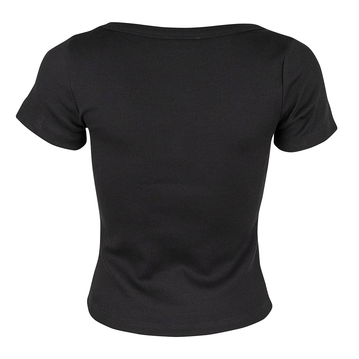 Basic T-Shirt Fashion